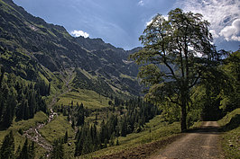 Bernhard Saalfeld - Retterschwanger Tal II